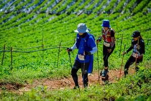 BIB: 
                            <button type="button" onclick="openModal(19164200)" class="btn btn-primary btn-sm float-right btn-popup" data-toggle="modal" data-target=".modal-high-quality">
                        <i class="fas fa-shopping-cart"></i> Add to Cart
                    </button>
                                            <button type="button" onclick="isThisMe(19164200, true)" class="btn btn-success btn-sm float-right btn-popup btn-isme hidden" data-toggle="tooltip" data-placement="bottom" title="นี่คือรูปของคุณใช่ไหม คลิกที่นี่เพื่อเอาเข้าอัลบั้ม">
                        <i class="fas fa-plus"></i> Add to album
                    </button>
                    <button type="button" onclick="isThisMe(19164200, false)" class="btn btn-warning btn-sm float-right btn-popup btn-isnotme hidden">
                        <i class="fas fa-ban"></i> Remove from album
                    </button>